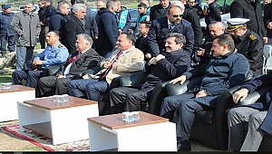 81 İLDE EŞ ZAMANLI "AĞAÇLANDIRMA VE KOORDİNASYON PROJESİ"