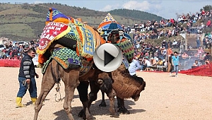 AZ DAHA CANLARINDAN OLUYORLARDI!