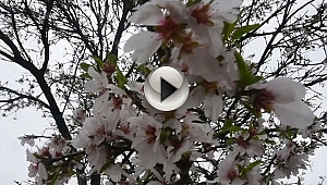 BAŞKAN'DAN DİKKAT ÇEKİCİ REKLAM