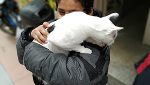 KÜÇÜK ÇOCUK, KURTARILAN KEDİSİNE SIKI SIKI SARILDI