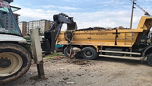 ROMAN VATANDAŞLARIN MAĞDURİYETİNİ AYHAN GİDER ÇÖZDÜ