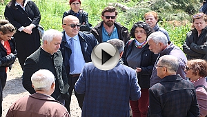 AĞAÇ KESİM GERGİNLİĞİ