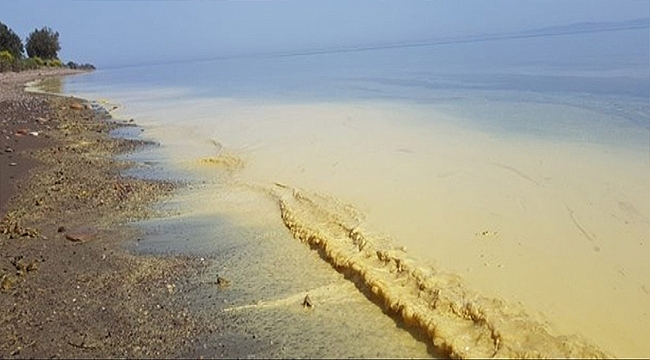 ÇANAKKALE'NİN AYVACIK İLÇESİ SAHİL KIYILARINDAKİ RENK DEĞİŞİMİ HAKKINDA BASIN DUYURUSU