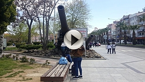 ÇANAKKALE SAVAŞLARINDA KULLANILAN TOP KEDİ YUVASI OLDU