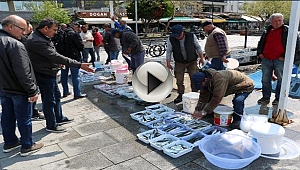 OLTA BALIKÇILARI BİLİNÇSİZ AVLANMADAN DERT YANIYOR