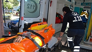 ORMAN İŞÇİSİNİN ÜZERİNE AĞAÇ DÜŞTÜ