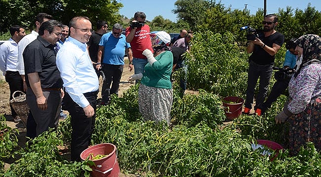 14 MAYIS DÜNYA ÇİFTÇİLER GÜNÜ