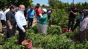 14 MAYIS DÜNYA ÇİFTÇİLER GÜNÜ