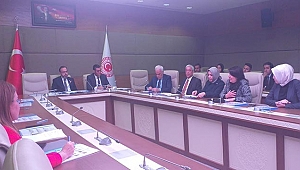 HAYVAN HAKLARI VE HAYVANLARA ŞİDDETİN ÖNLENMESİNİN ARAŞTIRILMASI İÇİN TBMM'DE MECLİS ARAŞTIRMA KOMİSYONU KURULDU