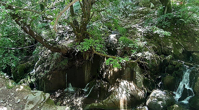 BU SENE DE 'KAZDAĞLARINA SAHİP ÇIKMAYA GİDİYORUZ!'