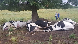 DÜŞEN YILDIRIM CAN ALDI!