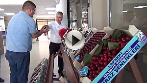 LAPSEKİ KİRAZI ADINDAN SÖZ ETTİRMEYE DEVAM EDİYOR