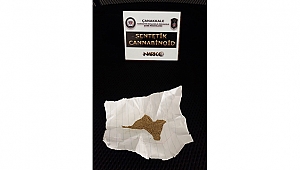 UYUŞTURUCU İLE MÜCADELE DEVAM EDİYOR