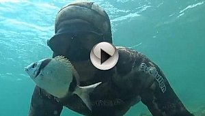 BALIĞI KURTARDI, ÖPEREK UĞURLADI