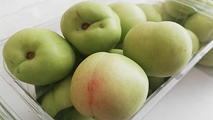 BAYRAMİÇ ZİRAAT ODASI'NDAN BASINA ANLAMLI JEST