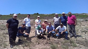 BOZCAADA'DA 'SAKIZ AĞACI' PROJESİYLE EKONOMİ CANLANACAK!