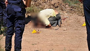 ÇANAKKALE'DE VAHŞET!