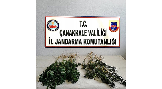 EŞ ZAMANLI OLARAK "TÜRKİYE GÜVEN VE HUZUR UYGULAMASI" BAŞLATILDI