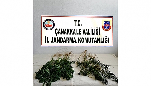 EŞ ZAMANLI OLARAK "TÜRKİYE GÜVEN VE HUZUR UYGULAMASI" BAŞLATILDI