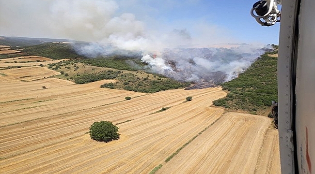 GELİBOLU'DA ANIZ YANGINI ORMANA SIÇRADI!