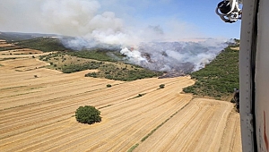 GELİBOLU'DA ANIZ YANGINI ORMANA SIÇRADI!