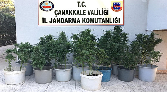JANDARMA VE POLİSTEN ORTAK UYUŞTURUCU OPERASYONU