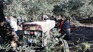 ZEYTİN AĞACINA SIKIŞTI, TRAKTÖRÜN ÜZERİNDE ÖLÜ BULUNDU!