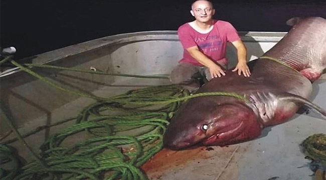 AĞA TAKILANI GÖRÜNCE ŞAŞIRIP KALDILAR