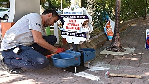 ÇAN BELEDİYESİ'NDEN SOKAK HAYVANLARI İÇİN DUYARLI UYGULAMA