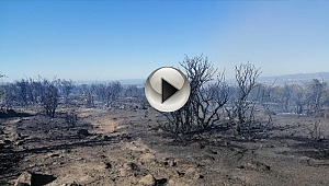 ÇANAKKALE'DE 70 DÖNÜMLÜK ALAN ZARAR GÖRDÜ
