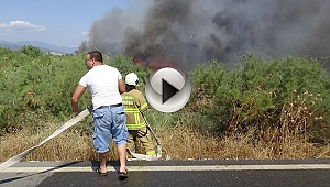 CİĞERLERİMİZ BİR BİR YANIYOR!