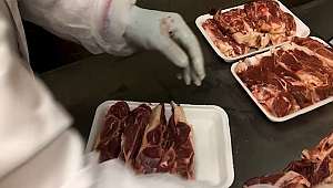 İNSAN VAKFI'NDAN TABAKTA KURBAN ETİ