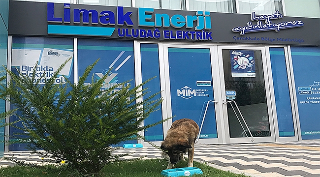  'SEVGİMİZ, ENERJİMİZ SİZİNLE'PROJESİ SOKAK HAYVANLARINA CAN SUYU OLUYOR