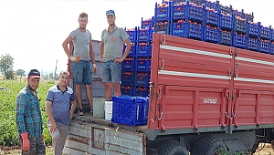 ZİRAAT ODASI BAŞKANI PEHLİVAN ÜRETİCİYLE İÇ İÇE