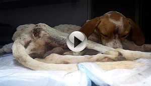 İYİ İNSANLAR HALA VAR