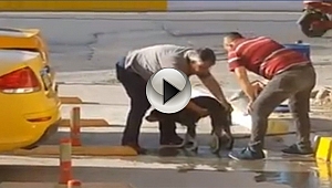 TAKSİCİLER KİRLİ SOKAK KÖPEĞİNİ SABUNLA YIKADI