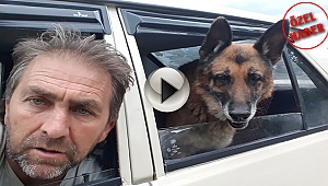 CAN DOSTLARA SEVGİ ELİ