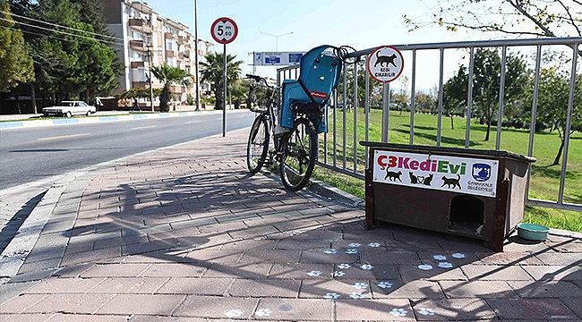 DİKKAT! KEDİ ÇIKABİLİR…