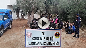 201 KAÇAK GÖÇMEN YAKALANDI!