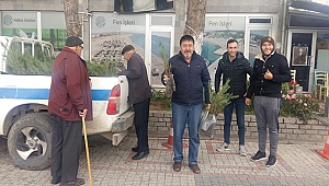 500 ADET FISTIK ÇAMI VATANDAŞA DAĞITILDI