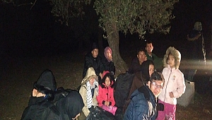 Çanakkale'de 305 mülteci yakalandı