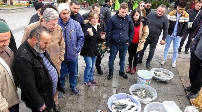 ÇANAKKALE'DE OLTA BALIKÇILIĞINA OLAN İLGİ BÜYÜYOR