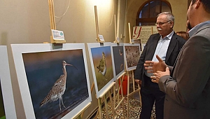 "ÇANAKKALE'NİN KUŞLARI" FOTOĞRAF SERGİSİ AÇILDI