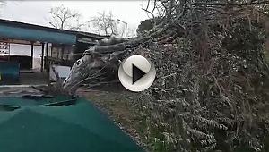 LODOSTAN GERİYE KALANLAR