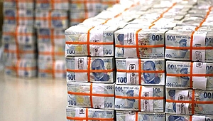 2019 YILINDA 123,7 MİLYAR TL AÇIK VERİLDİ