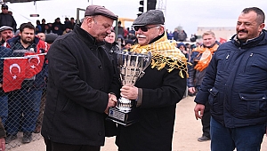 7. BÜYÜK TRUVA DEVE GÜREŞLERİ BÜYÜK İLGİ GÖRDÜ