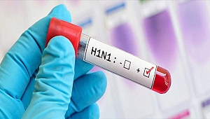 DOMUZ GRİBİ GERİ DÖNDÜ!