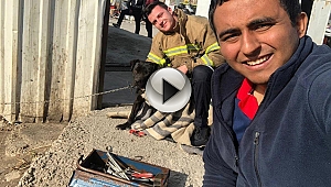 İTFAİYE EKİPLERİ AĞZINA KONSERVE SIKIŞAN KÖPEĞİ KURTARDI