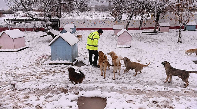 SOĞUK HAVADA CAN DOSTLARIMIZ UNUTMADI