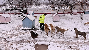 SOĞUK HAVADA CAN DOSTLARIMIZ UNUTMADI